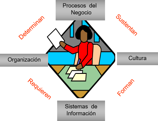 Imagen11